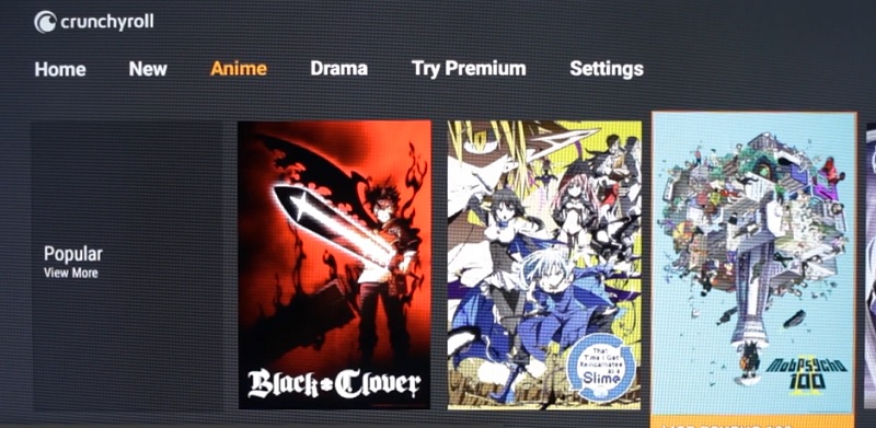 CrunchyRoll on FireStick