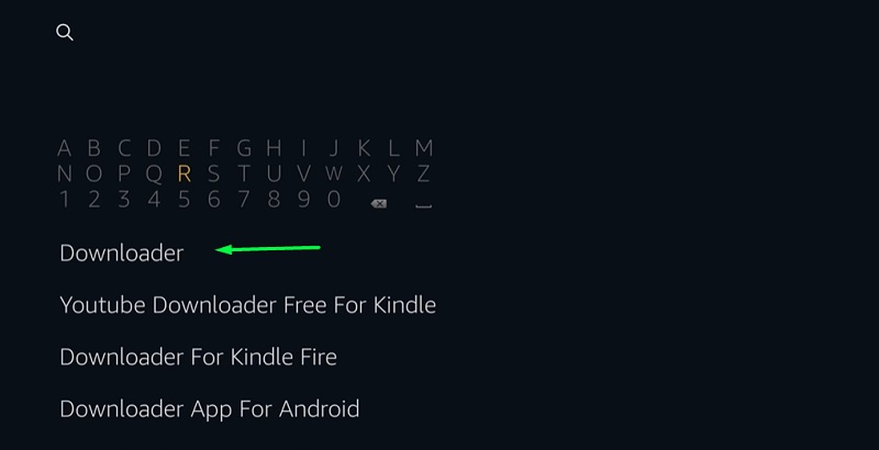 Downloader on fire tv stick