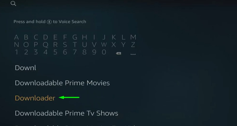 Downloader on firestick